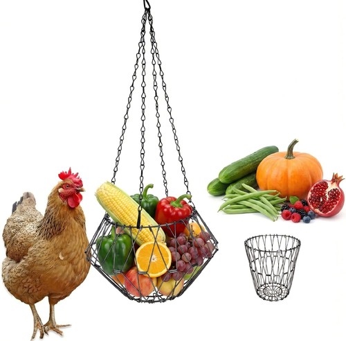 Mangiatoia automatica per - automatica,