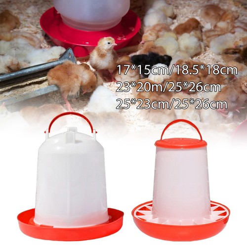 Set mangiatoie e - di,