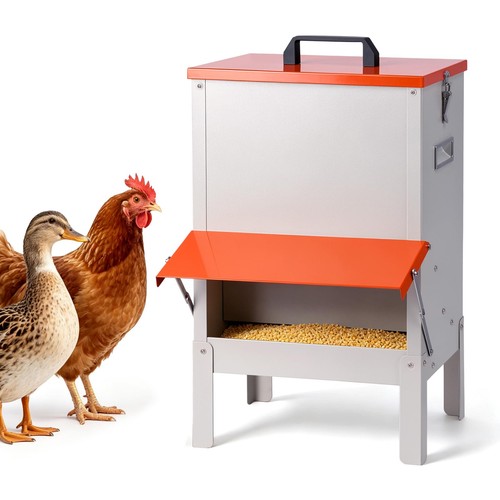 Mangiatoia automatica per - mangiatoia,