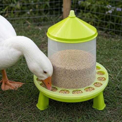 Mangiatoia automatica per - mangiatoia,