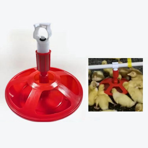 Bevitore automatico per polli