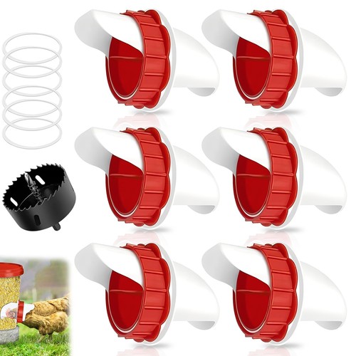 Mangiatoia automatica per - mangiatoia,