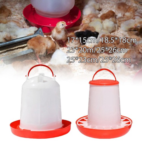 Chicken feeder automatico con - chicken,